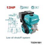TOTAL moteur essence 13hp TGEN1881