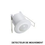 DETECTEUR MOUVEMNT (2)