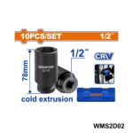 WMS2D02
