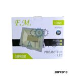 FM Projecteur 100w 220v 38PRD10